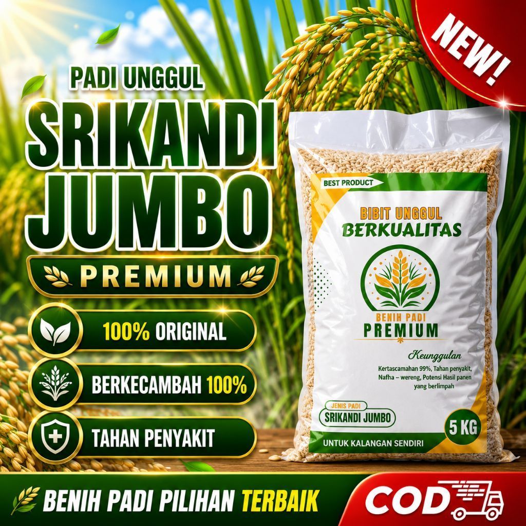 benih padi unggul SRIKANDI JUMBO kemasan 5kg original benih padi berkualitas