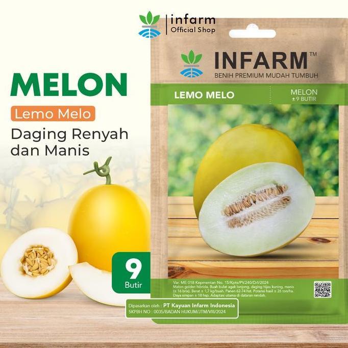 INFARM - BENIH MELON LEMOMELO UNGGUL, BIBIT BUAH MELON GOLDEN SUPER BIBIT BUAH MELON BERKUALITAS