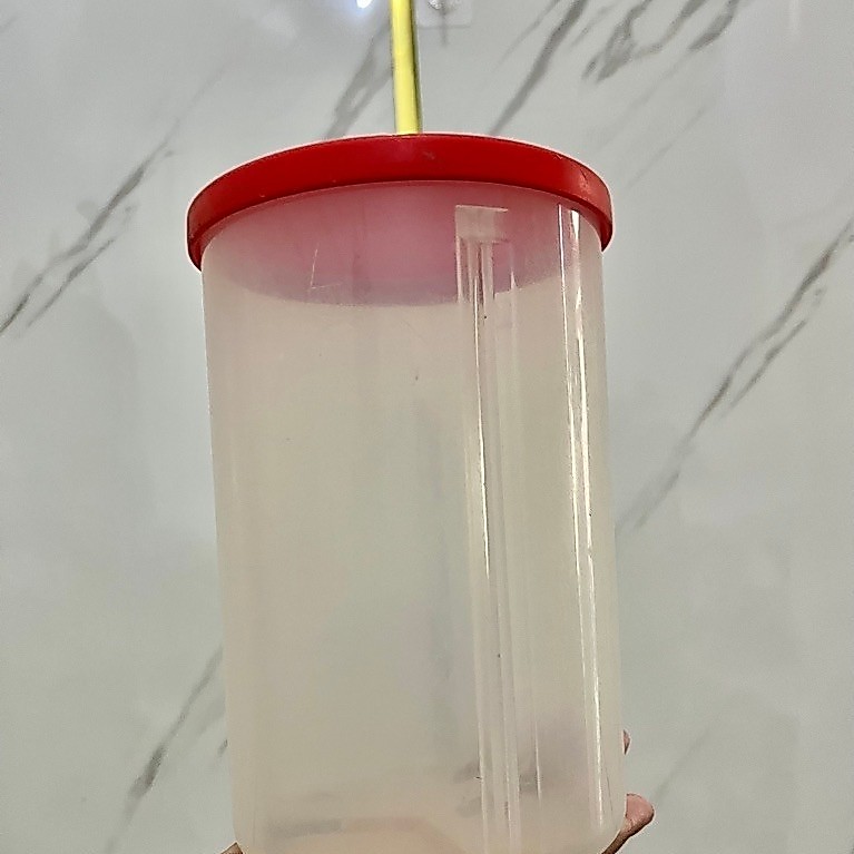 PL, toples susu, tupperware