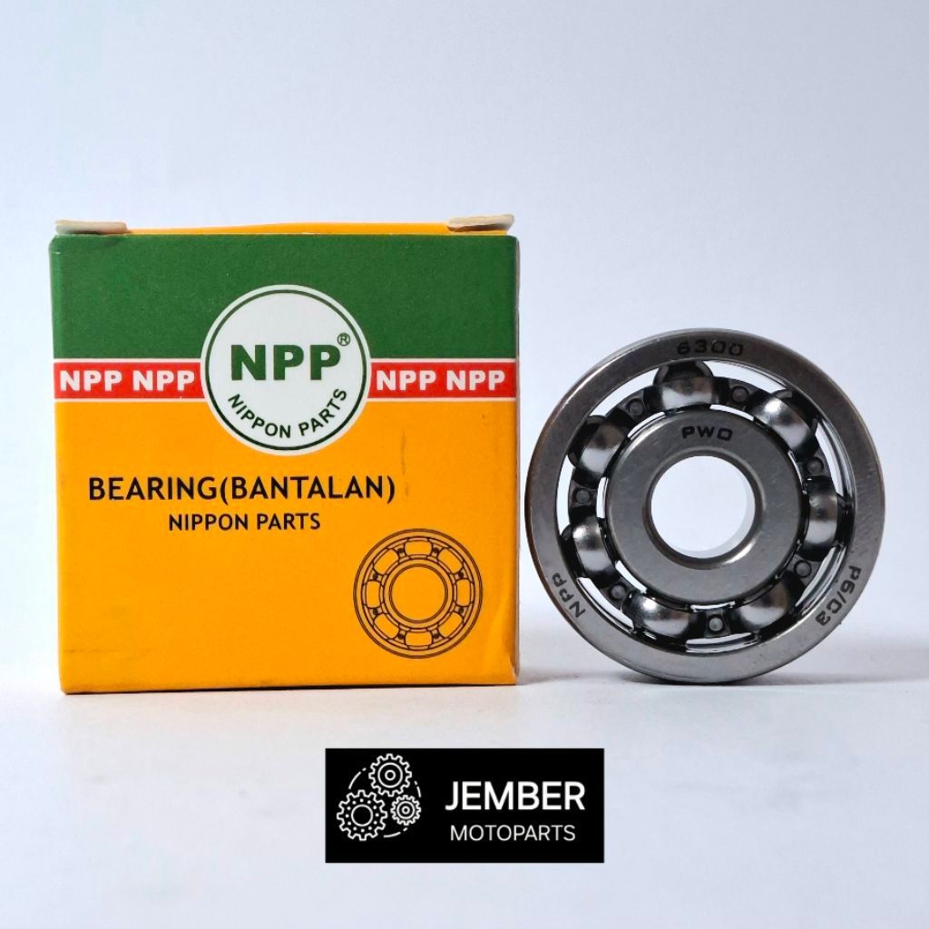 Bearing 6300, 6300 1RS, 6300 2RS NPP