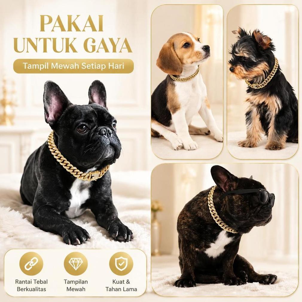 Kalung anjing perak, kalung anjing rantai Kuba berlian, kalung anjing, rantai kucing logam, kalung h