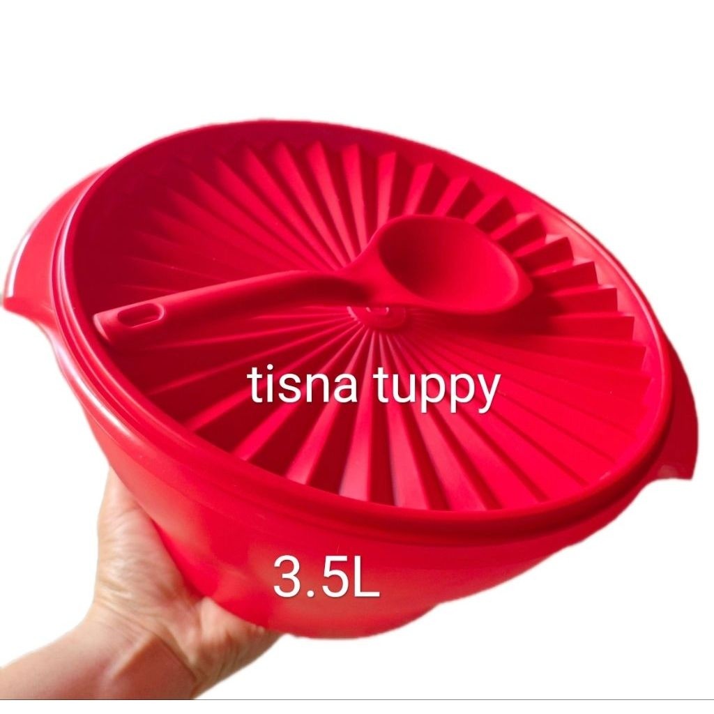 large rice bowl tupperware dengan sendok nasi
