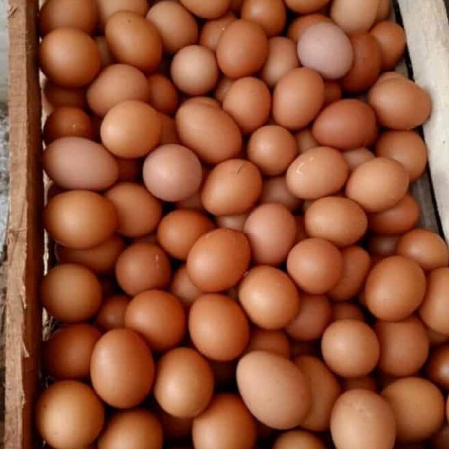 TELUR AYAM FRESH 1KG KOTA BATU