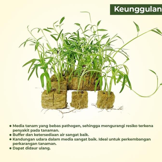 Planteria - Media Tanam Hidroponik - Rockwool Hidroponik Allshop