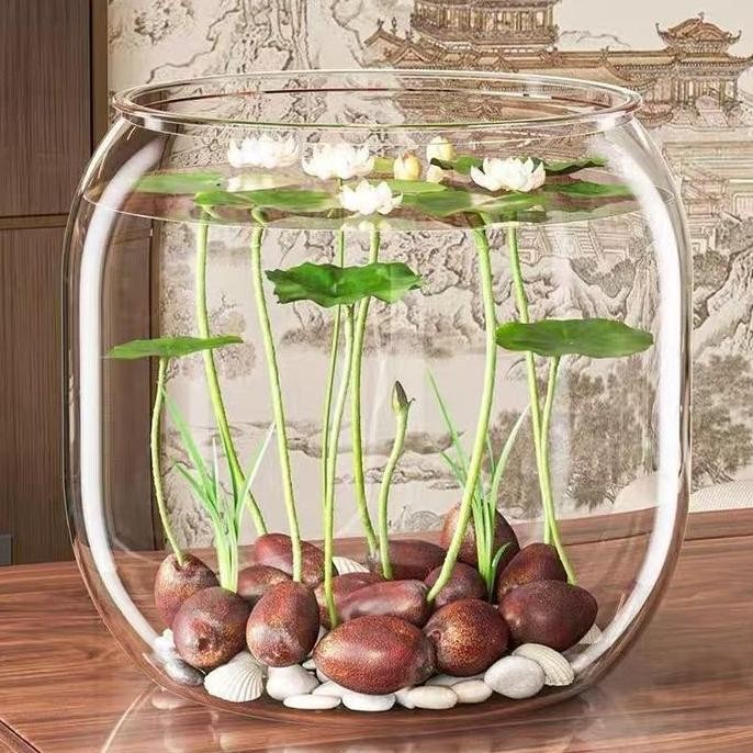 - Aquarium Bulat Kaca Mini Untuk Ikan Hias Dan Hidroponik - Estetik & Modern Aquarium Toples Bulat I