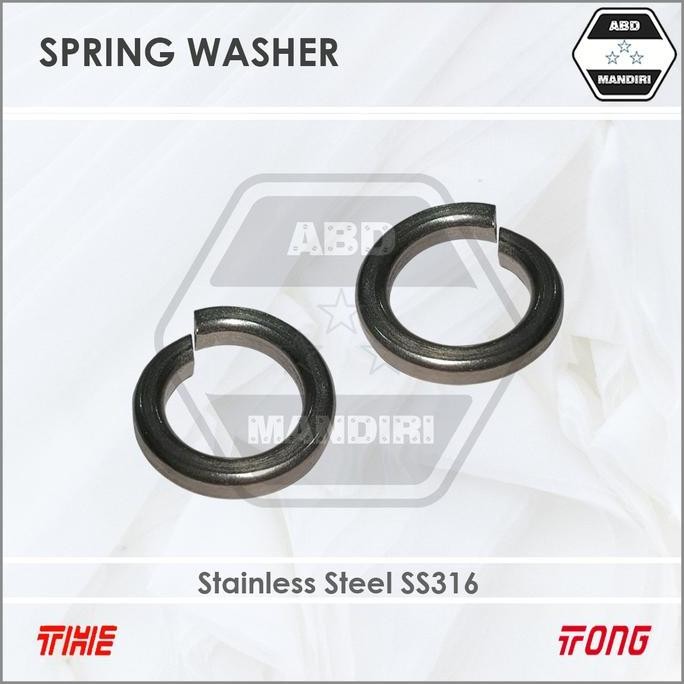 Ss316 Ring Per Ver Stainless M10 ( Sus316 Spring Washer) 10