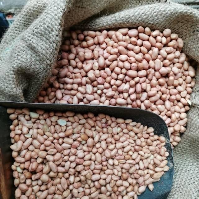 LS Kacang Tanah Mentah Super 1 Kg, Kacang Tanah Jumbo Random, Kacang Suuk