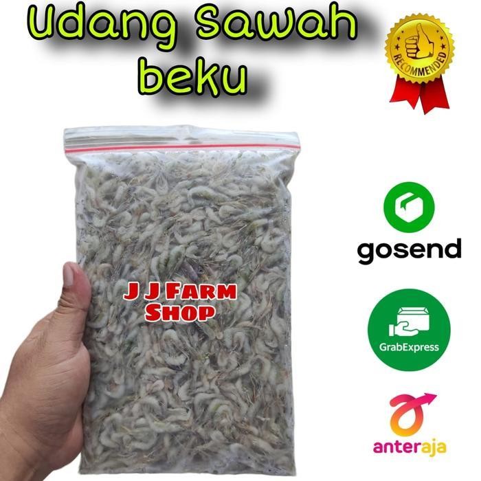 

LS UDANG SAWAH BEKU BERSIH UDANG KECIL BEKU 500gram pakan ikan predator