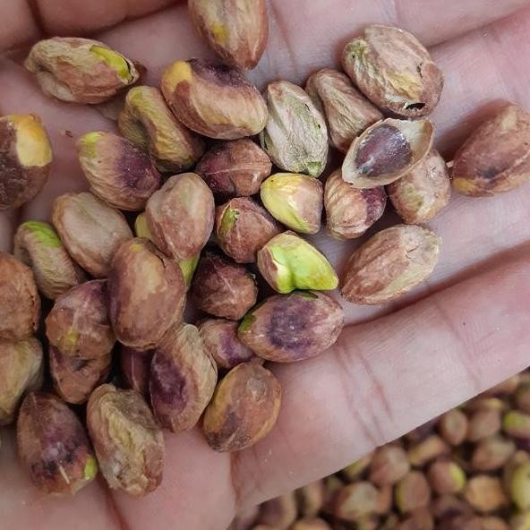 

Kacang Pistachio Kupqs Roasted 1Kg