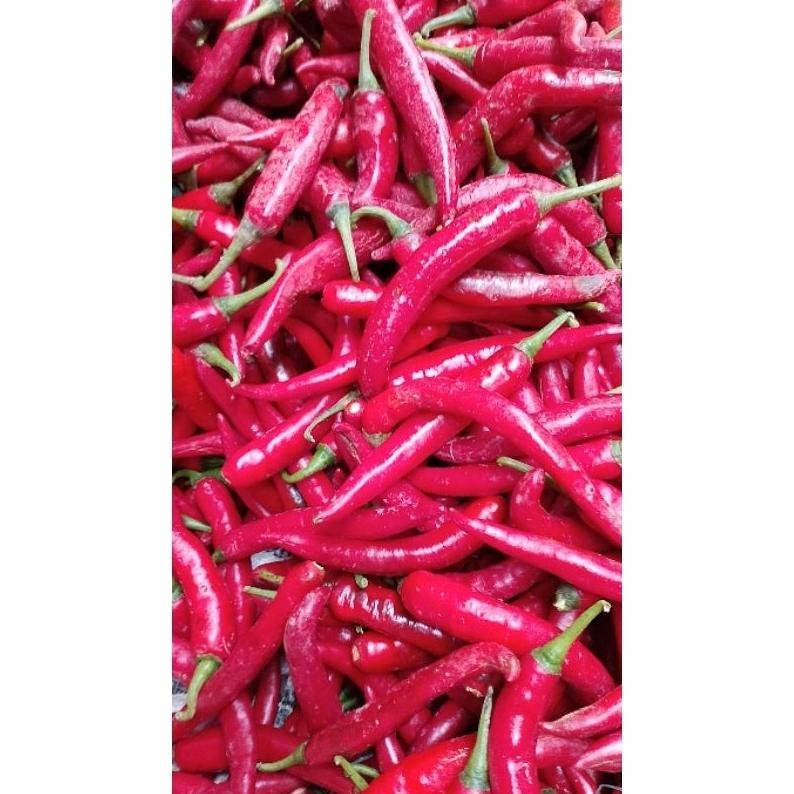 

New Cabe Merah Besar Tw Beauty Pedas Merah 1 Kg