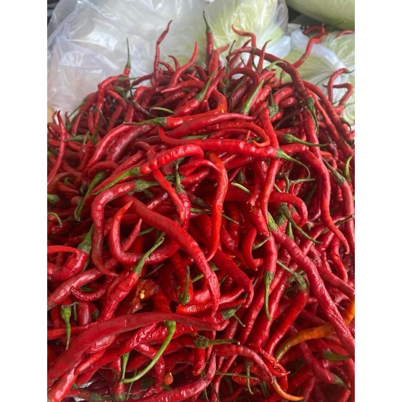 

Sempurna Cabe Merah Kriting 1 Kg Murah Meriah
