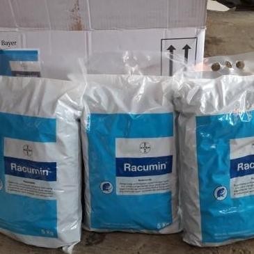 Ready Stock Umpan Tikus Racumin Block 5 Kg Eks Bayer German
