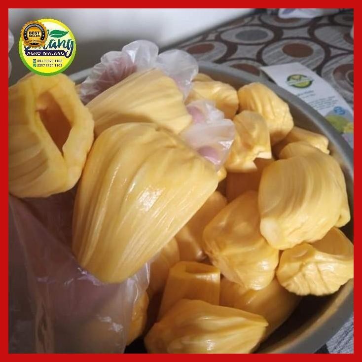 

(Promo) Nangka J33 Okulasi 50 Cm Full Media Bestseller