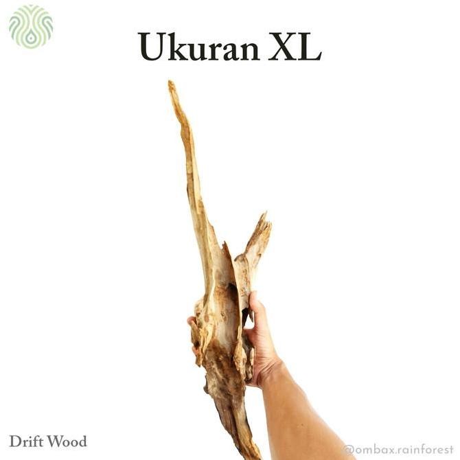 Drift woon / kayu rentek - kayu jati / Aquascape, Vivarium, & Paludarium