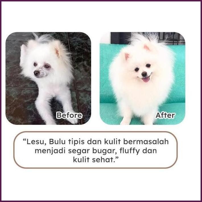 

TERBARU REAL MEAT BEEF MEAT BALL WITH PEANUT SAUCE TERLARIS