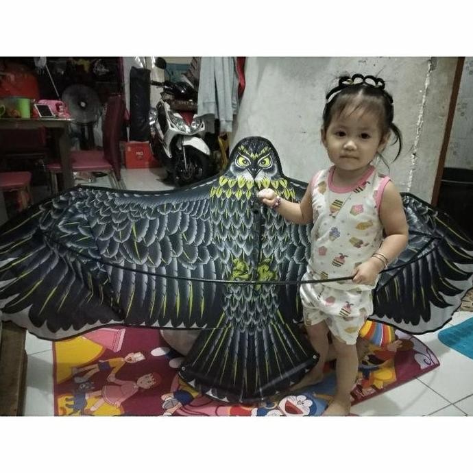 layangan elang jumbo