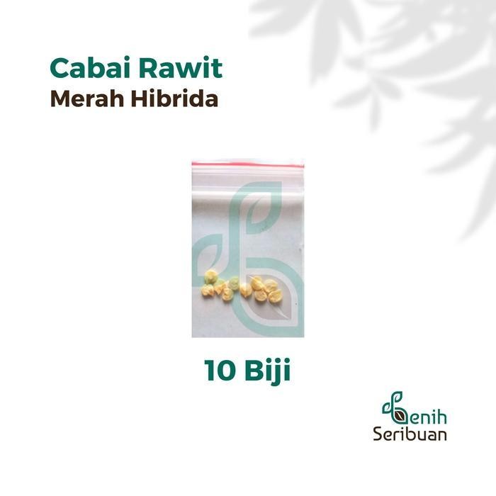 (Best Saller) 10 Bibit Cabe Rawit Hibrida F1 Lentera Benih Cabai Rawit Merah Setan Bestseller