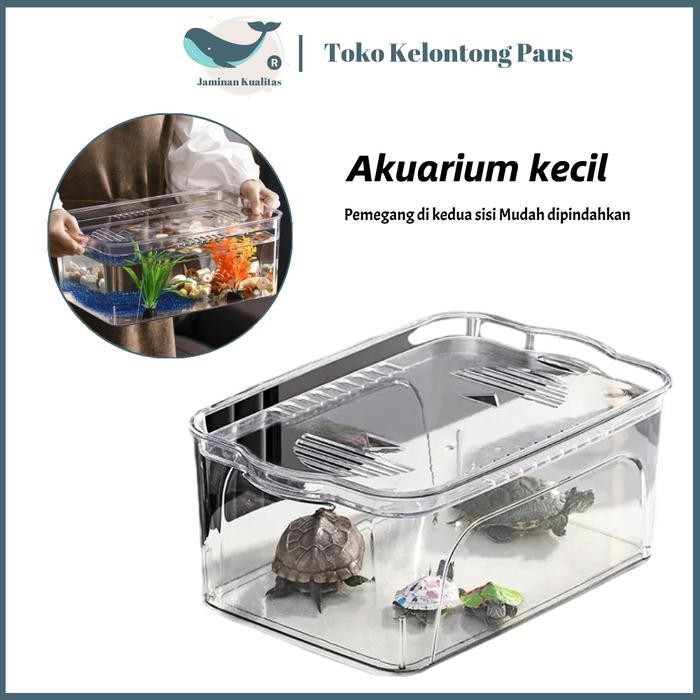 RA Akuarium mini plastik PET tanpa perekat - anti pecah & bocor, transparan jernih Khusus ikan beta/