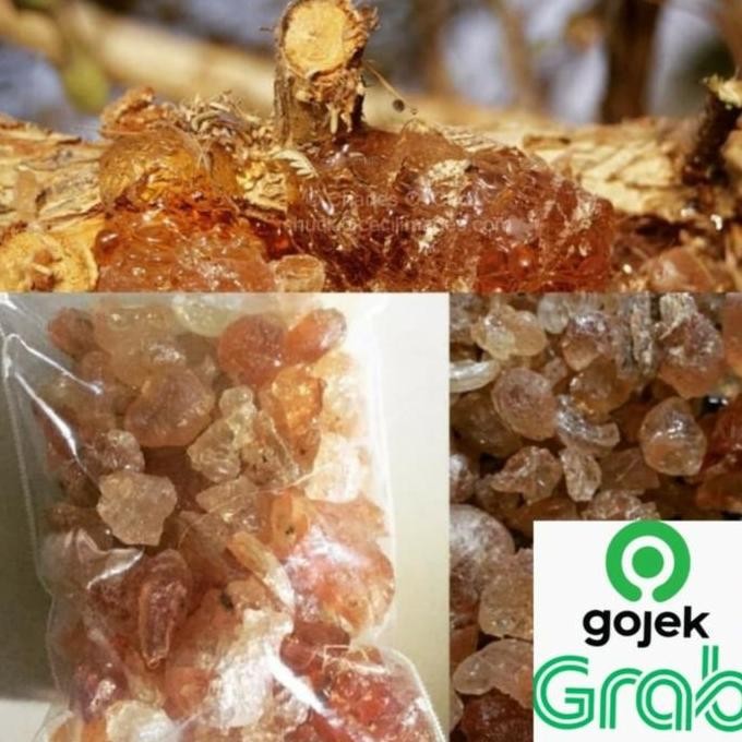 

GUM ARABIC 100% ASLI Repack 100gram - 1kg