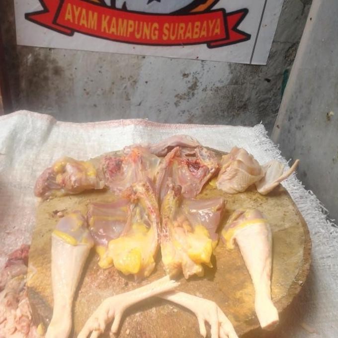 AYAM KAMPUNG EXTRA LARGE (muda)