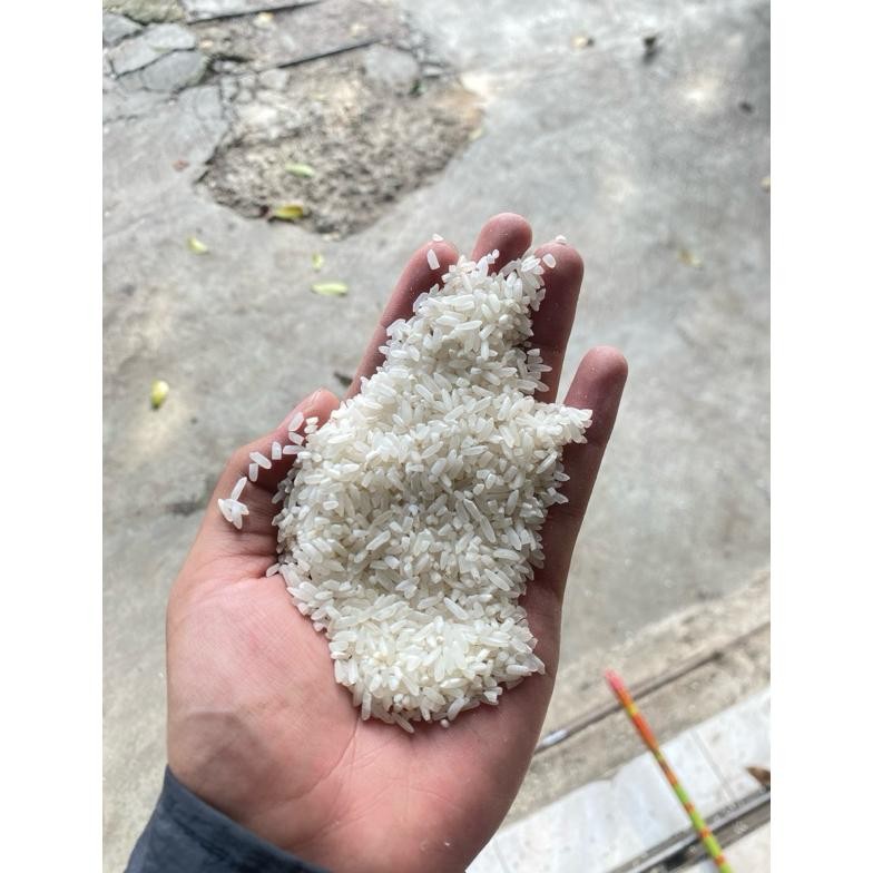 

Beras Premium Ladori 25 Kg Pulen Bersih