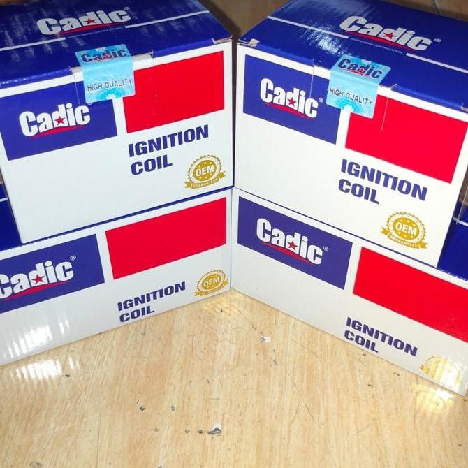 TERLARIS - Cadic Coil Ford Fiesta .600cc / .400cc 4MG2029ZB