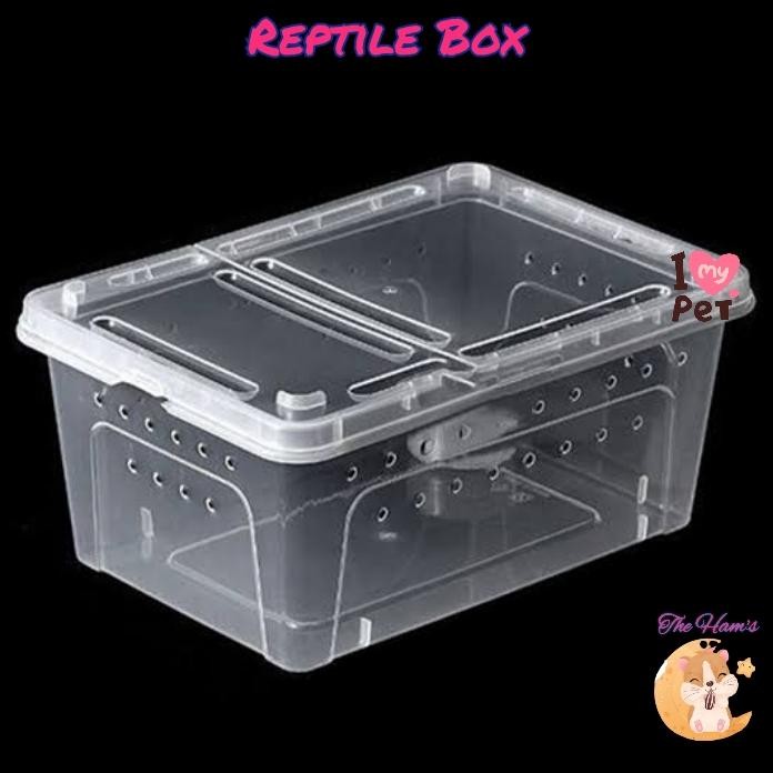 New (The Ham's) Reptil Box Kandang Besar Feeding Hamster/Reptil/Gecko/kura-kura