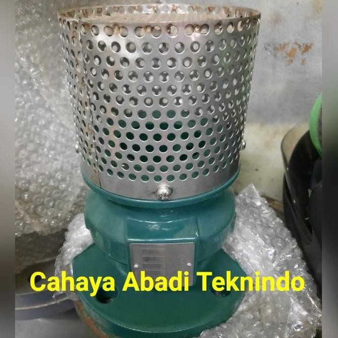 Gala Foot Valve Flange 2"Inch / Foot Valve Cast Iron Flange Dn50 Restock