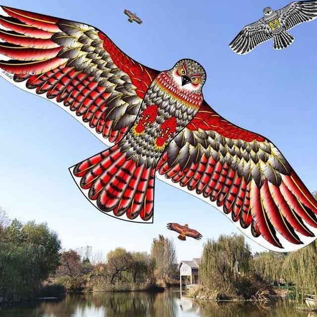 (Good) LAYANGAN ELANG JUMBO MAINAN LAYANG LAYANG KE LAYANGAN LAYANGLAYANG NAGA SUKHOI OLAHRAGA SEOT 