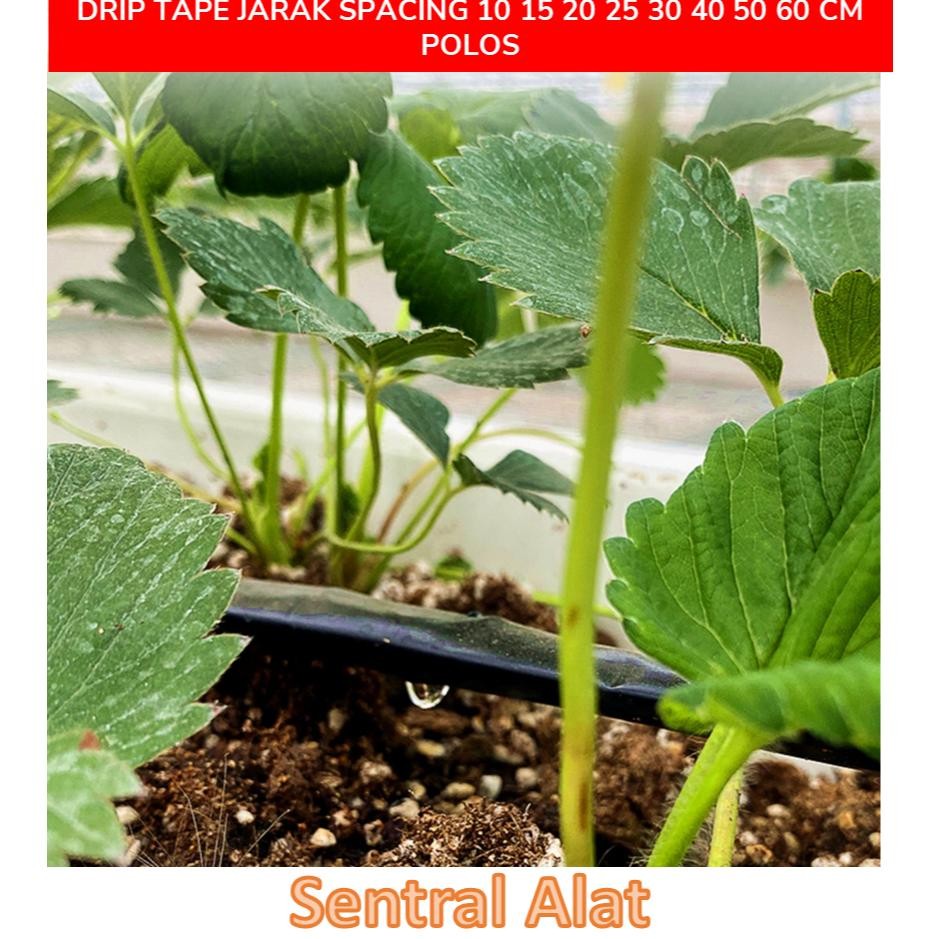 Promo Cod Selang Drip Tape Tetes 16 Mm, Emitter Jarak Spacing 10 15 20 25 30 40 50 60 Cm Dan Polos .