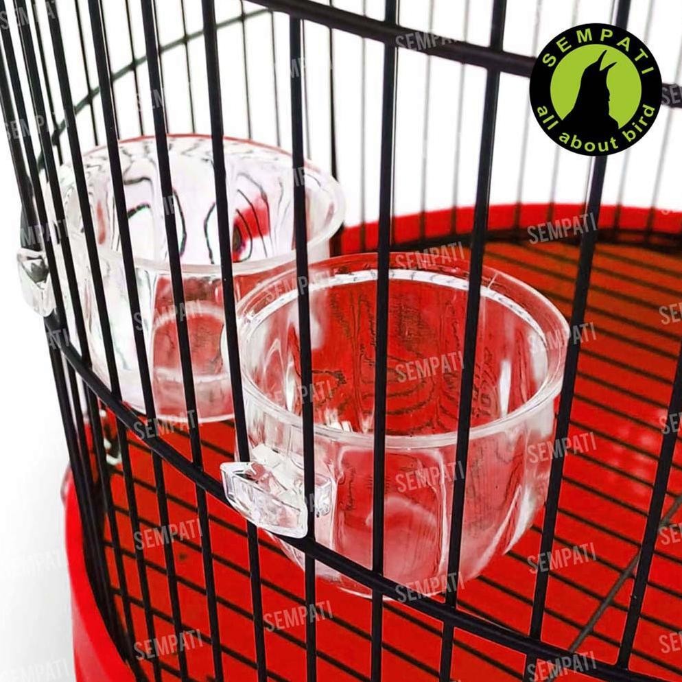 Sangkar Kandang Burung Perkutut Import Fullset Gantungan Pion Mahkota Klem Cepuk Ansang Sangkar Buru