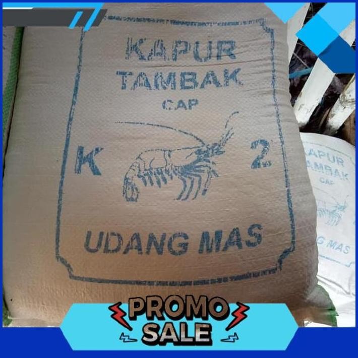 TOP TODAY kapur dolomit alas reptil/kapur tambak untuk ikan&udang murah