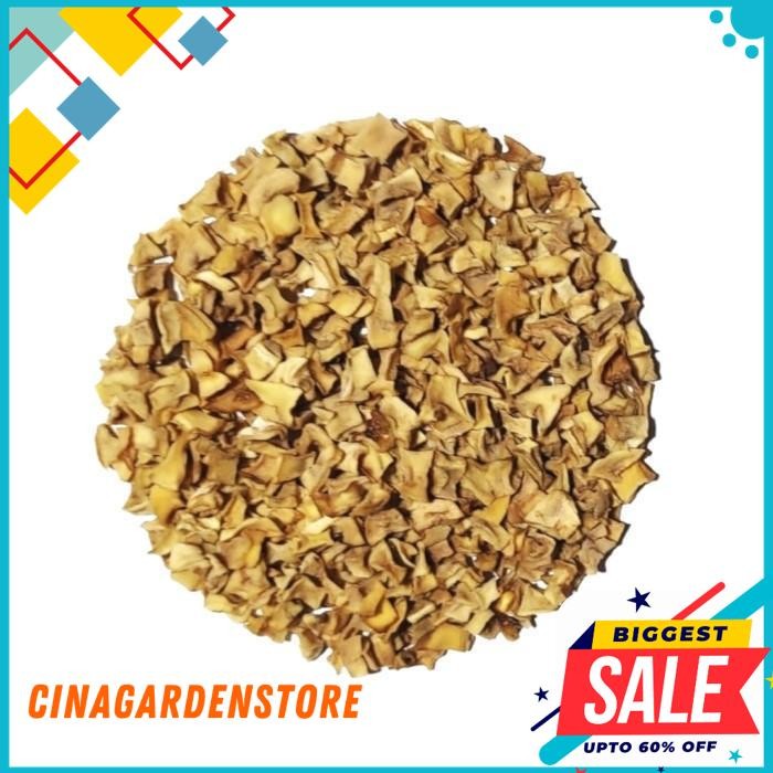 

(BITS) BUAH SALAK KERING DADU / DEHYDRATED DRIED SNAKE FRUIT 60 GRAM TERMURAH