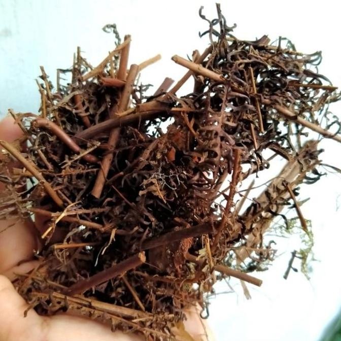 Media Andam Karungan