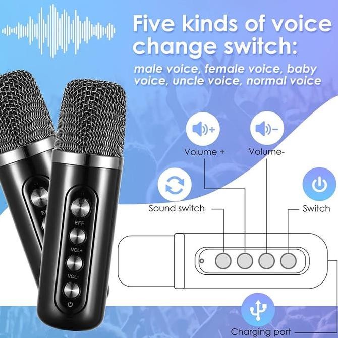 KARAOKE Bluetooth Speaker Wireless 2 MIC TV AUX  KTV Equipment