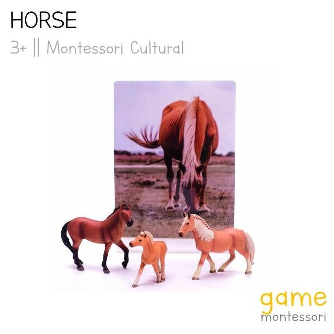 BEBAS ONGKIR - Montessori Cultural Farm Animal Horse