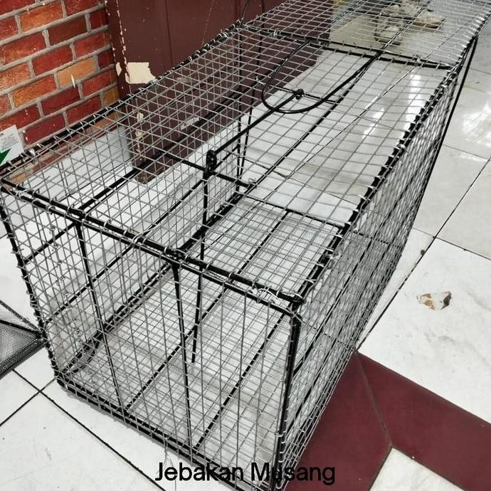 ___] Jebakan Musang Jebakan Luwak  Jebakan Kucing