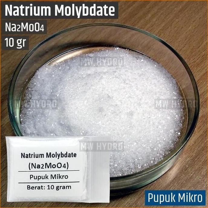 ~~~] Natrium Molybdate / Sodium Molybdate - 10 gr - Pupuk Mikro Hidroponik