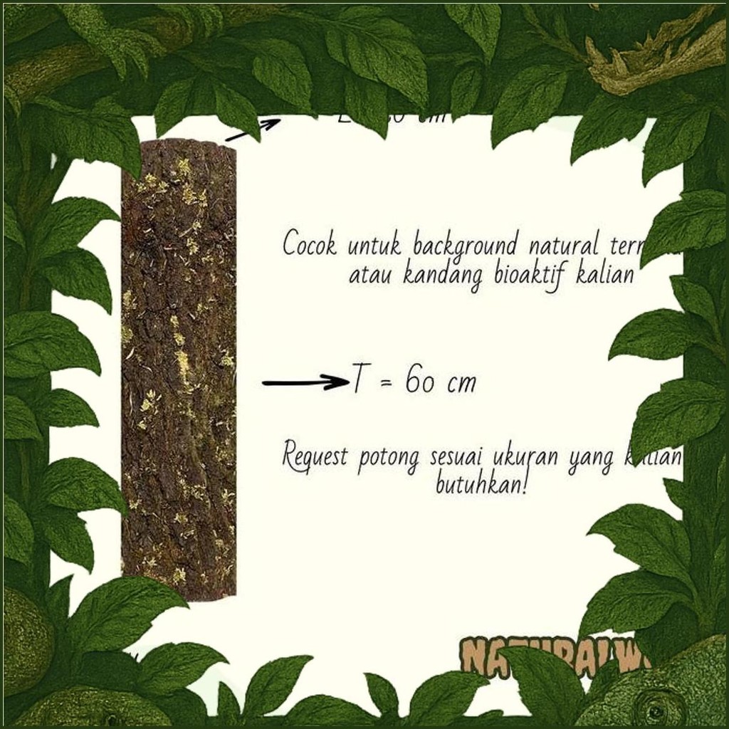Kulit Kayu Pinus Untuk Natural Background Vivarium