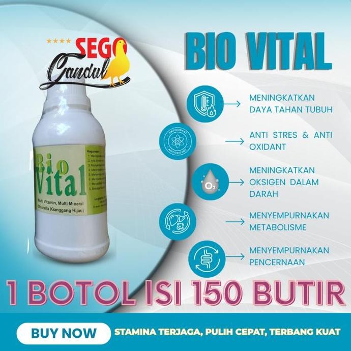 Aristol Bio Vital Biovital Multivitamin Ganggang Hijau Merpati 1 botol 150 capsule