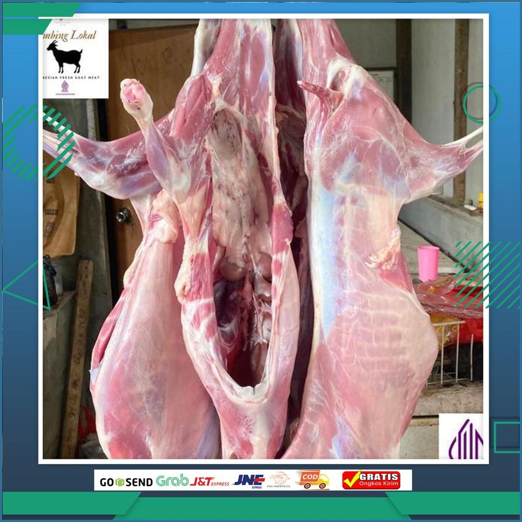 Daging Kambing Segar, Karkas Kambing Gosend