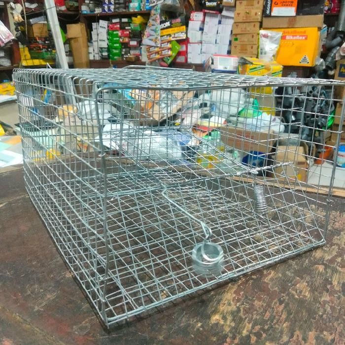 kurungan tikus masal /jebakan tikus