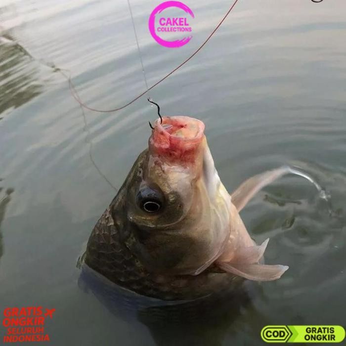 Best Seller Kail Pancing Flip Otomatis Anti-Korosi Baja Karbon Terlaris