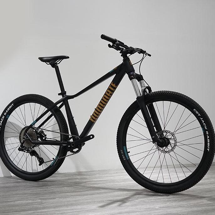 Sepeda Gunung MTB XC Dominate A-One Comp