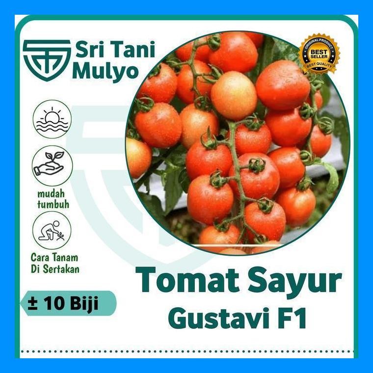 [Cod] - 10 Biji - Benih Tomat Unggulan Gustavi F1 - Tahan Virus - Bibit Sayuran Benih Sayuran - Serv