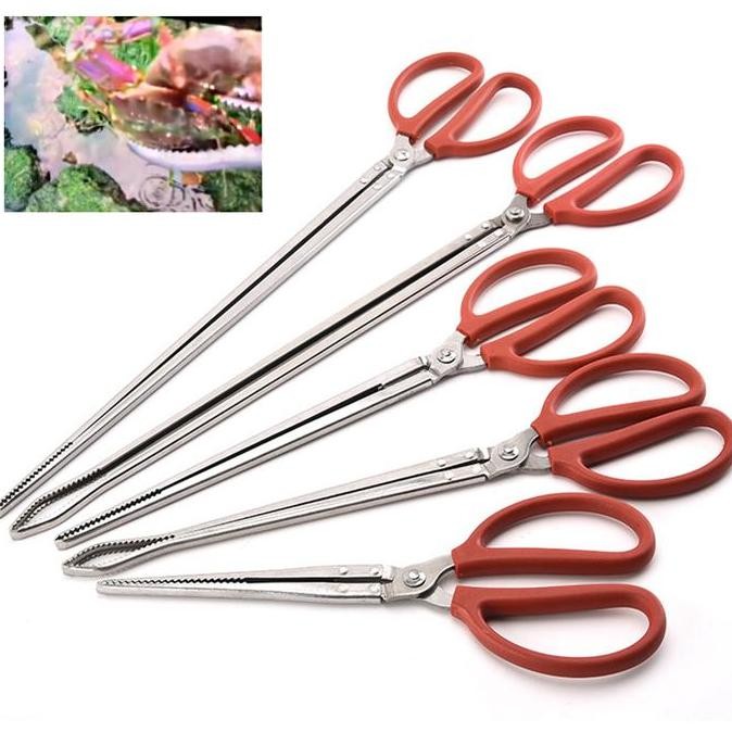 Panjang Capit Alat Pengambil Kepiting Ikan Belut Lele