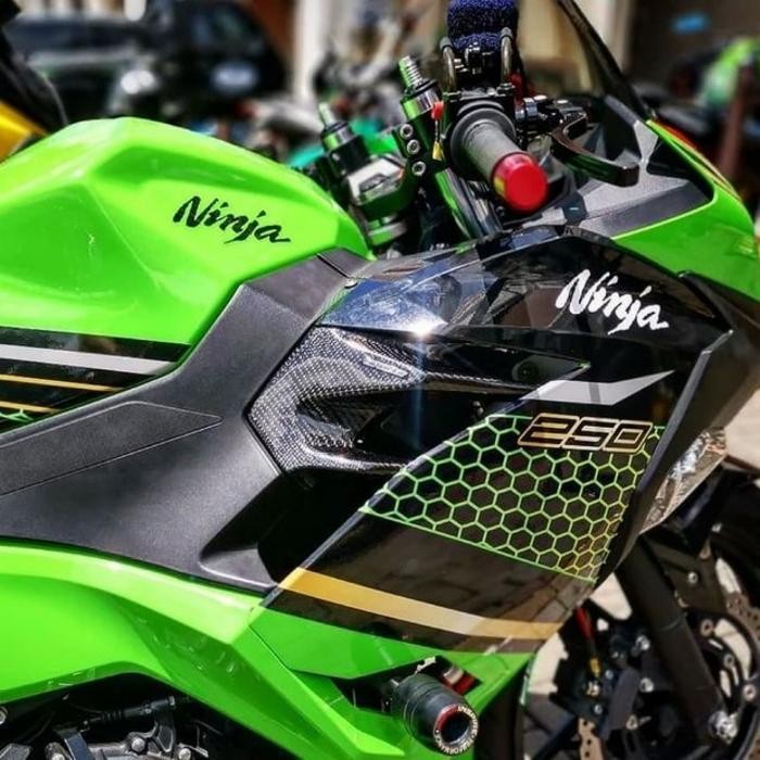 Fin Carbon Kawasaki New ninja 250 fi - Carbonstar Original