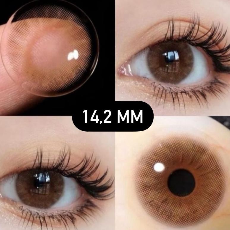 Update J65 Softlens Coklat Brown 14,2 MM Tanpa Ring Natural Daily  / Softlens Brown Natural / Softle