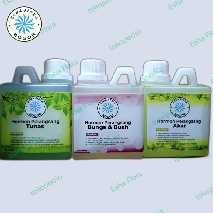 Pupuk Hormon Sitokinin Auksin Giberelin / Tunas Akar Bunga Buah Konsentrat Esha Flora 500 ml