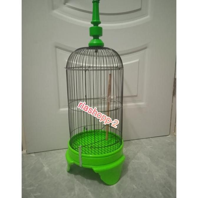 sangkar kandang pleci juara mewah murah